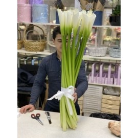 19 белых калл высотой 80 см