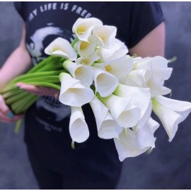 Белые каллы Аваланж высотой 80-90 см