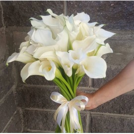 Любимые белые каллы