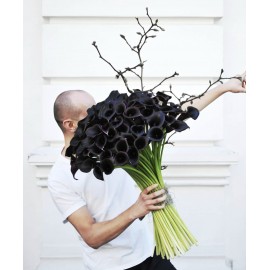 Темные силы любви 