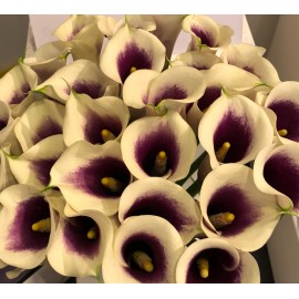 Каллы Вермеер поштучно 