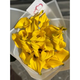 Солнце для нее