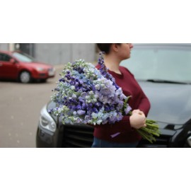 Микс из дельфиниума