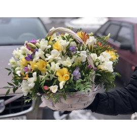 Корзина 51 фрезия