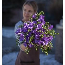 Фиолетовые красавицы