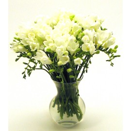 Белые фрезии в вазе