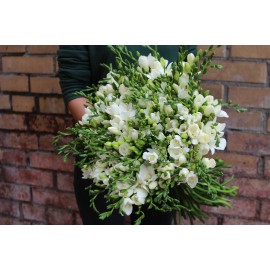 101 белая фрезия