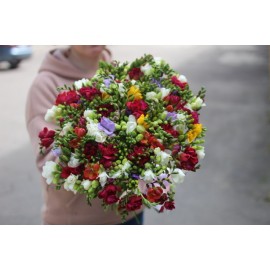 Фрезии микс поштучно от 29 штук 