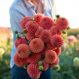 Оранжевые зефирки