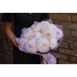 Ох, эта нежность!