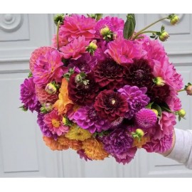 Георгиновая бомба