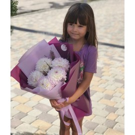 Георгины в школу 