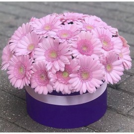 Герберы в коробке 