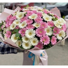 75 нежный гербер