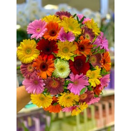 Яркие герберы