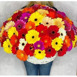 Корзина из 101 герберы