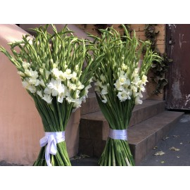 101 белый гладиолус 