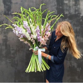 Любимый Август