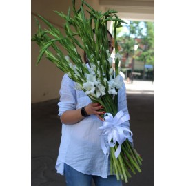 Эти белые гладиолусы