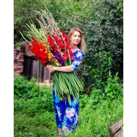 101 гладиолус