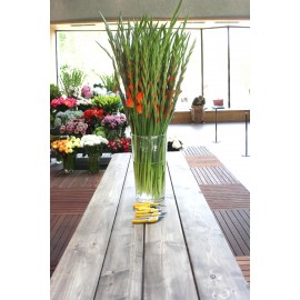 Ваза с 51 гладиолусом