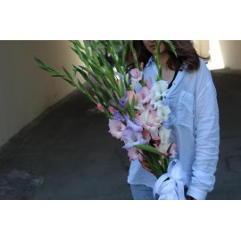 11 гладиолусов микс