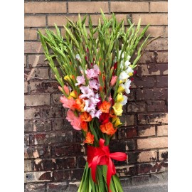 51 гладиолус микс 