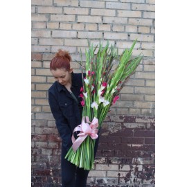 Микс из 45 гладиолусов 