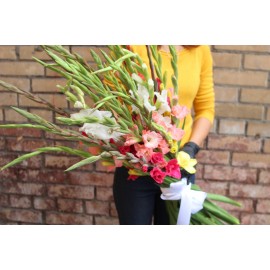 Микс из 25 гладиолусов 