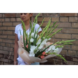25 нежных гладиолусов 