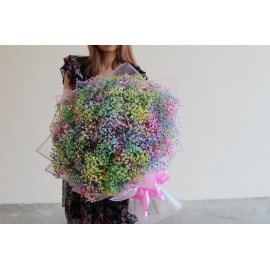 51 радужная гипсофила