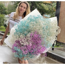 Большой букет разноцветной гипсофилы