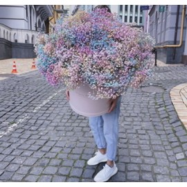 Коробка с гипсофилой размер xl 