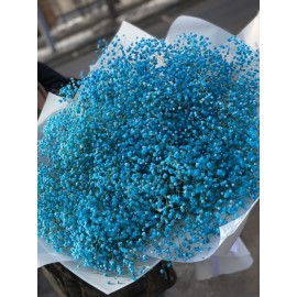 Голубая лагуна