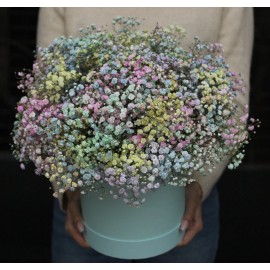 Коробка с разноцветной гипсофилой 