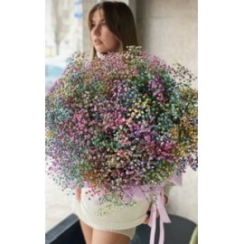 Большая коробка с гипсофилой