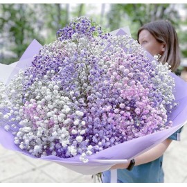 Воздушная гипсофила