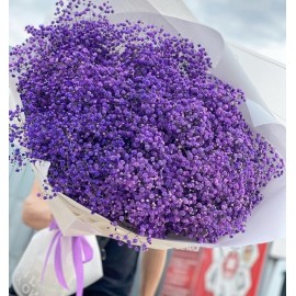 Фиолетовая гипсофила 