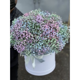 Радушная коробка 