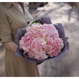 5 розовых гортензий