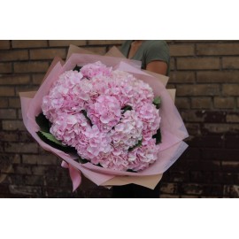 Облако из 15 розовых гортензий 