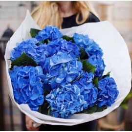 9 синих гортензий в крафте