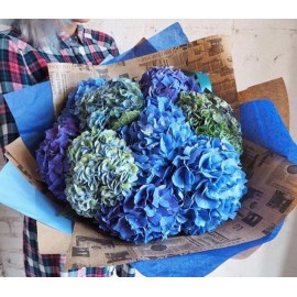 Все оттенки синего