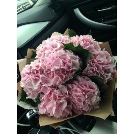 Розовые гортензии в крафте