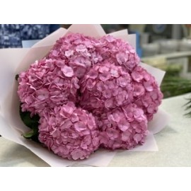 Розовые облака