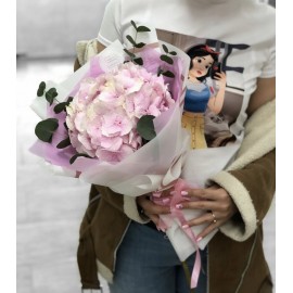 Прекрасная незнакомка 