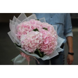 Розовая гортензия поштучно