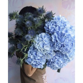 Любимые гортензии