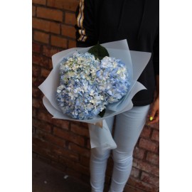 Три пышные красотки