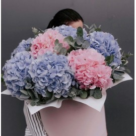 Облока в коробке